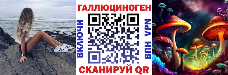 продажа наркотиков  Медногорск  Псилоцибиновые грибы прущие грибы 