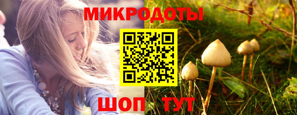 Псилоцибиновые грибы мицелий Медногорск